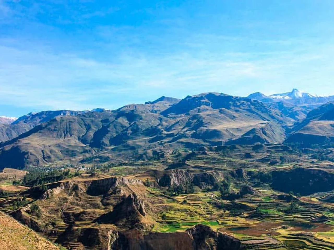 visitar el Cañón del Colca