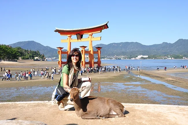 japon iati seguros