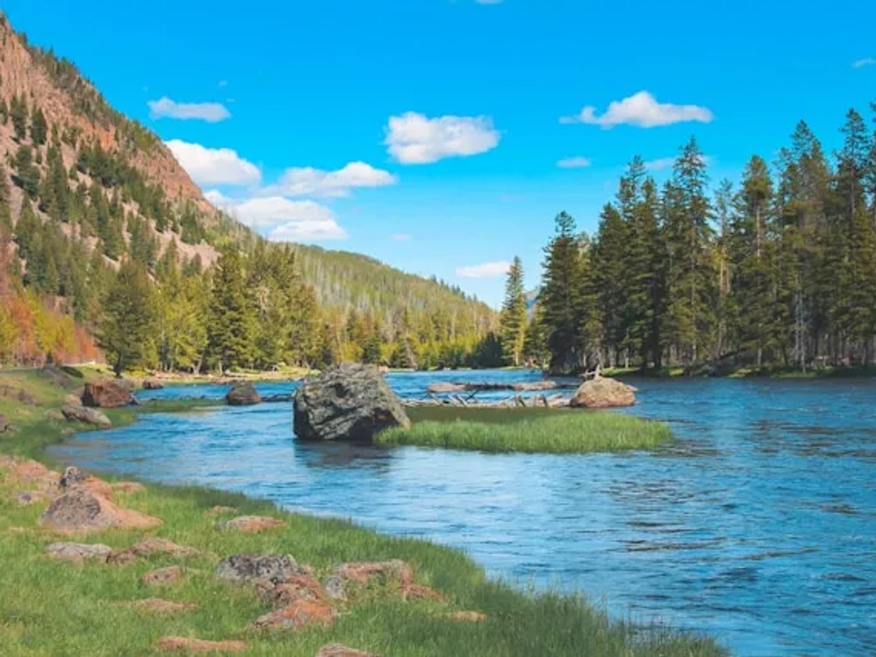 lago e arvores verdes no parque yellowstone nos estados unidos