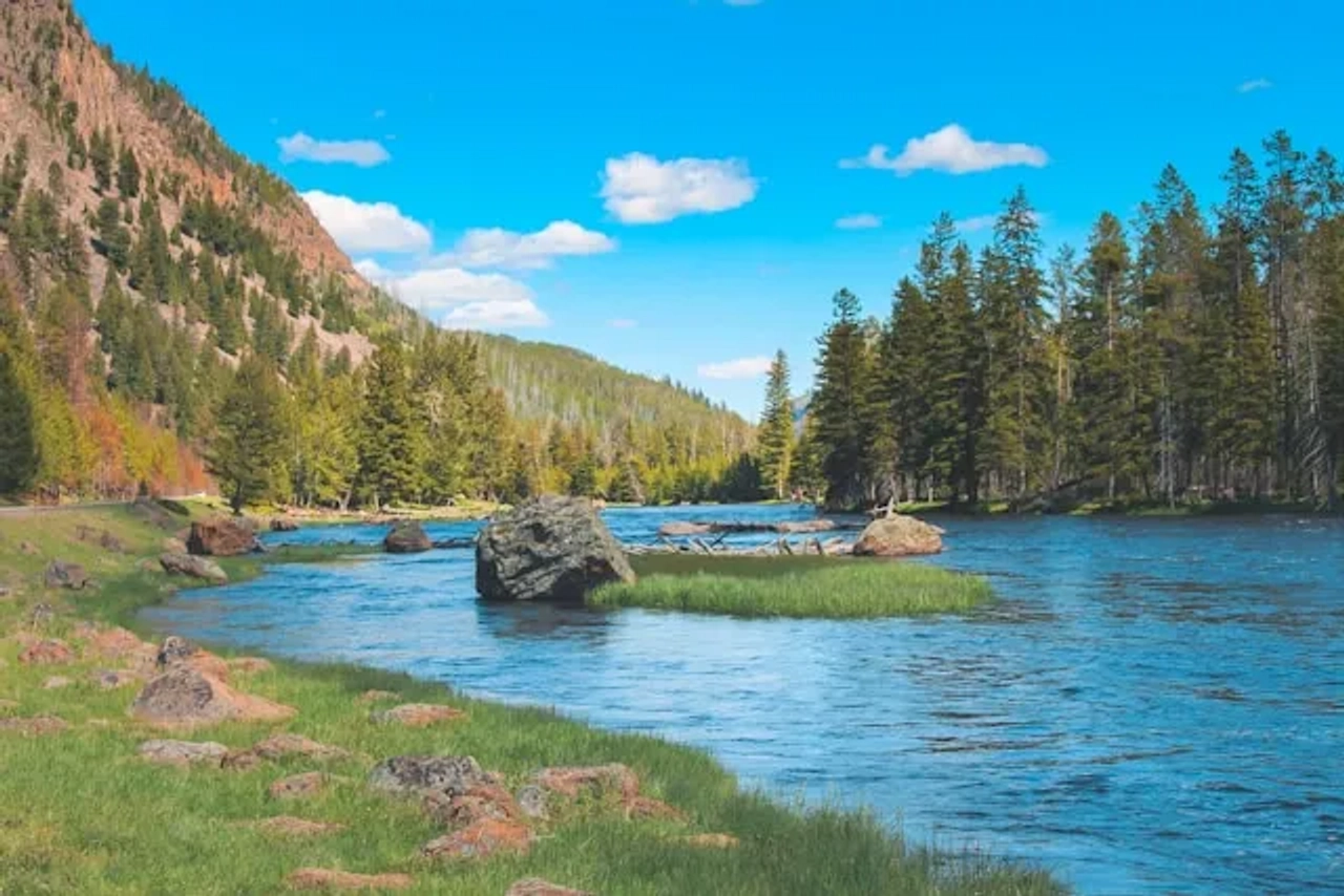 lago e arvores verdes no parque yellowstone nos estados unidos