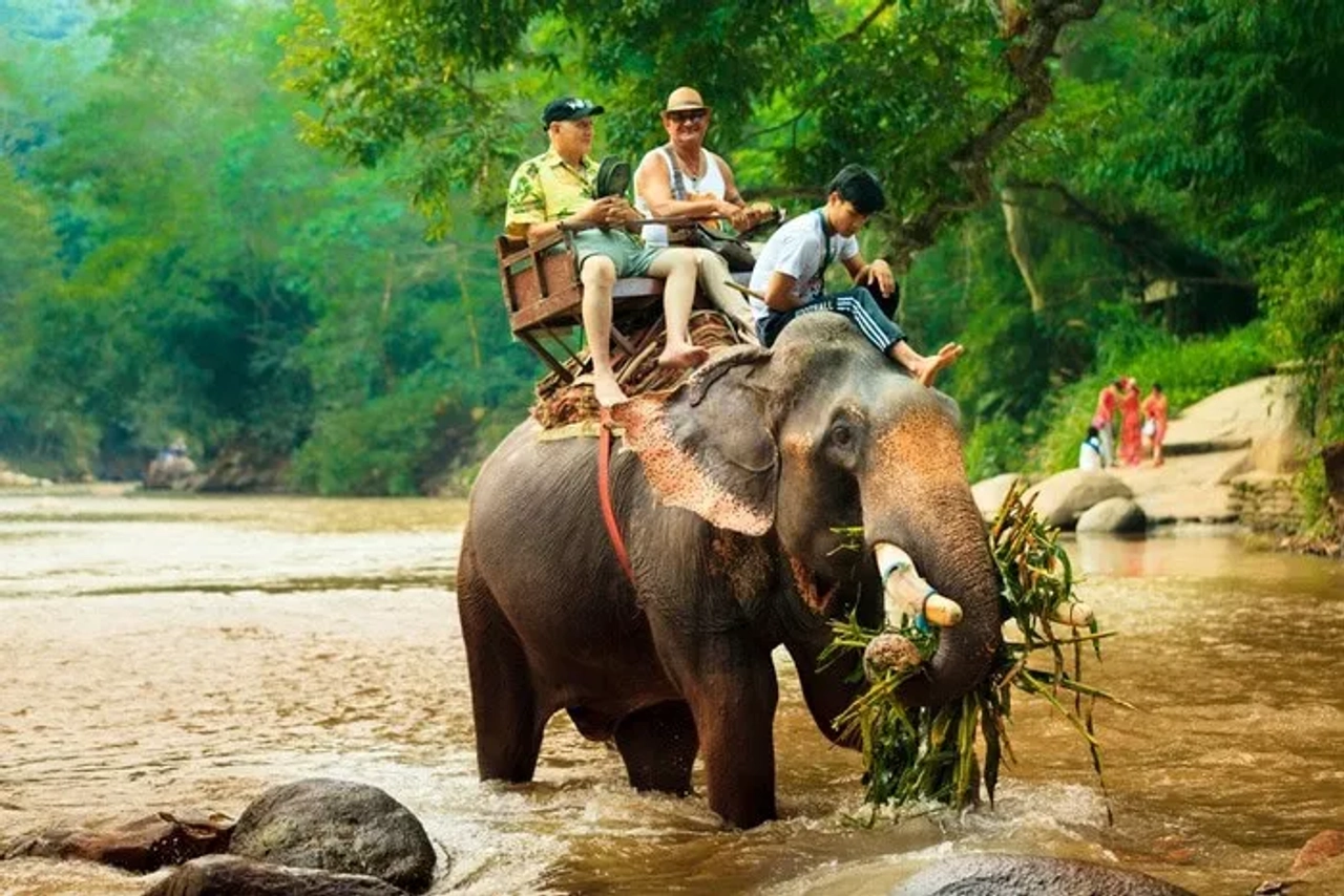 montar en elefante