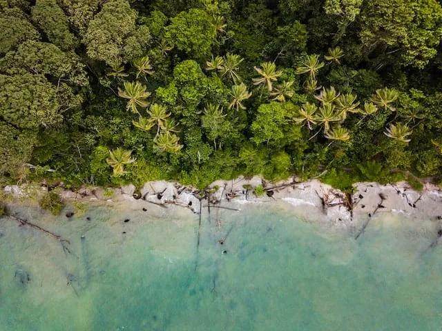 a beach seen from above in Costa Rica