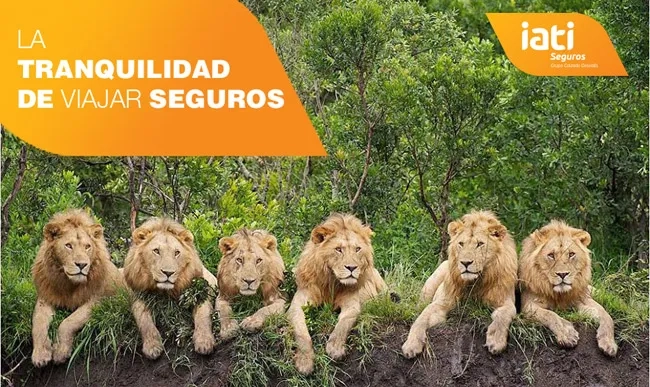 que-hacer-para-viajar-seguro