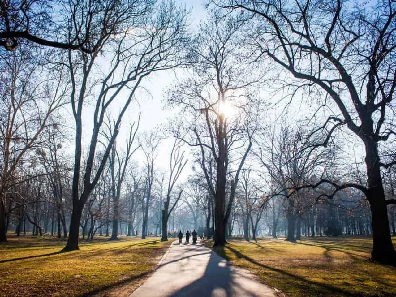 Ilha da Margarida Budapeste