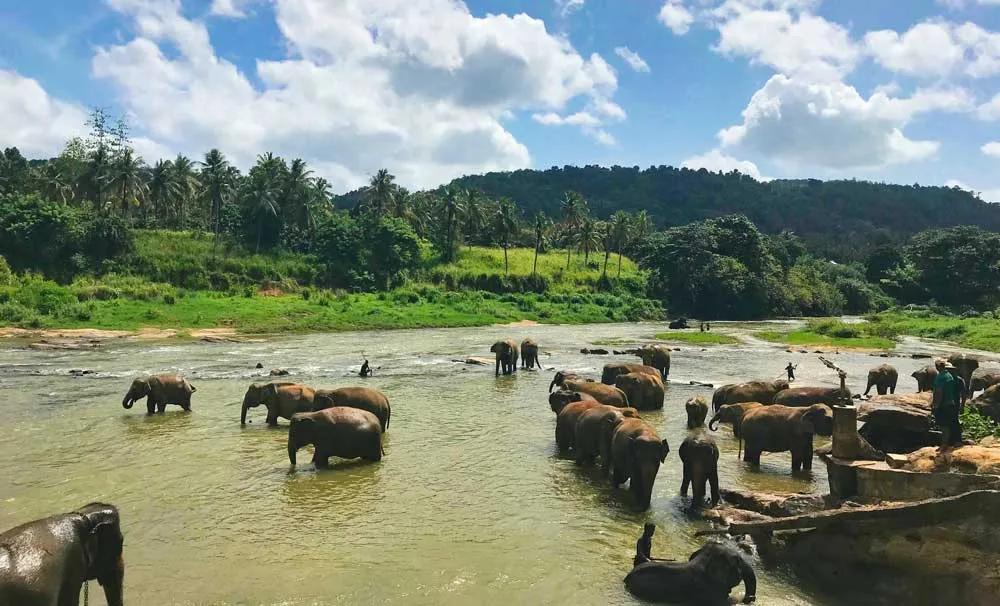 Seguro de viaje a Sri Lanka