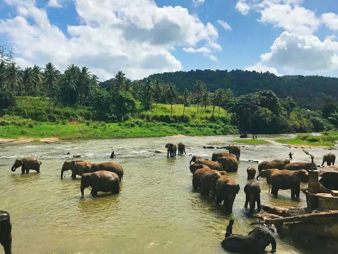 Seguro de viaje a Sri Lanka