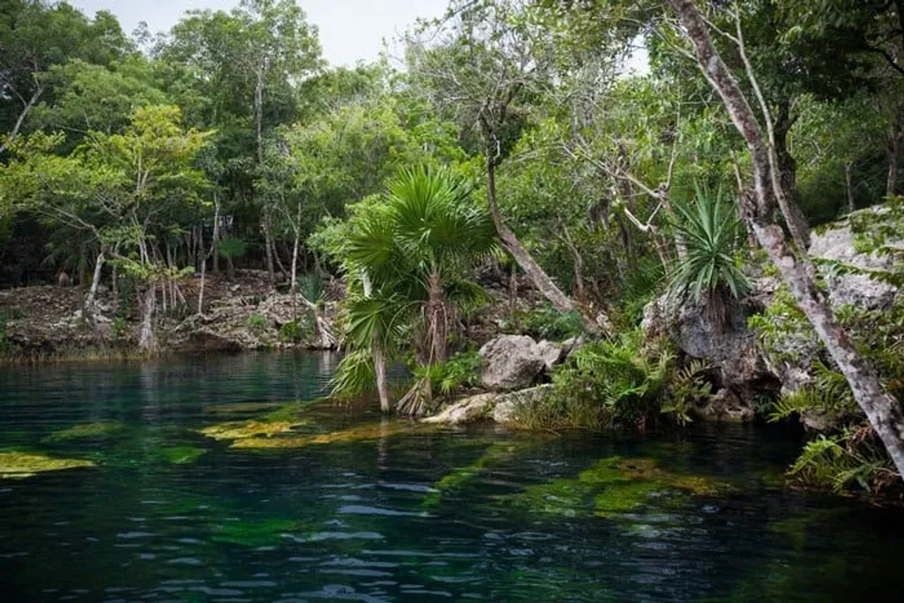 mejores cenotes de Riviera Maya