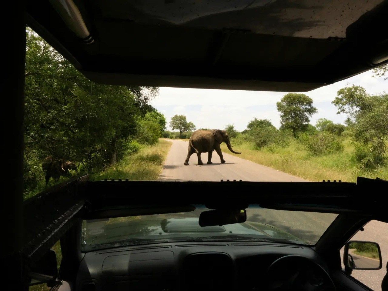 Safari em Moçambique