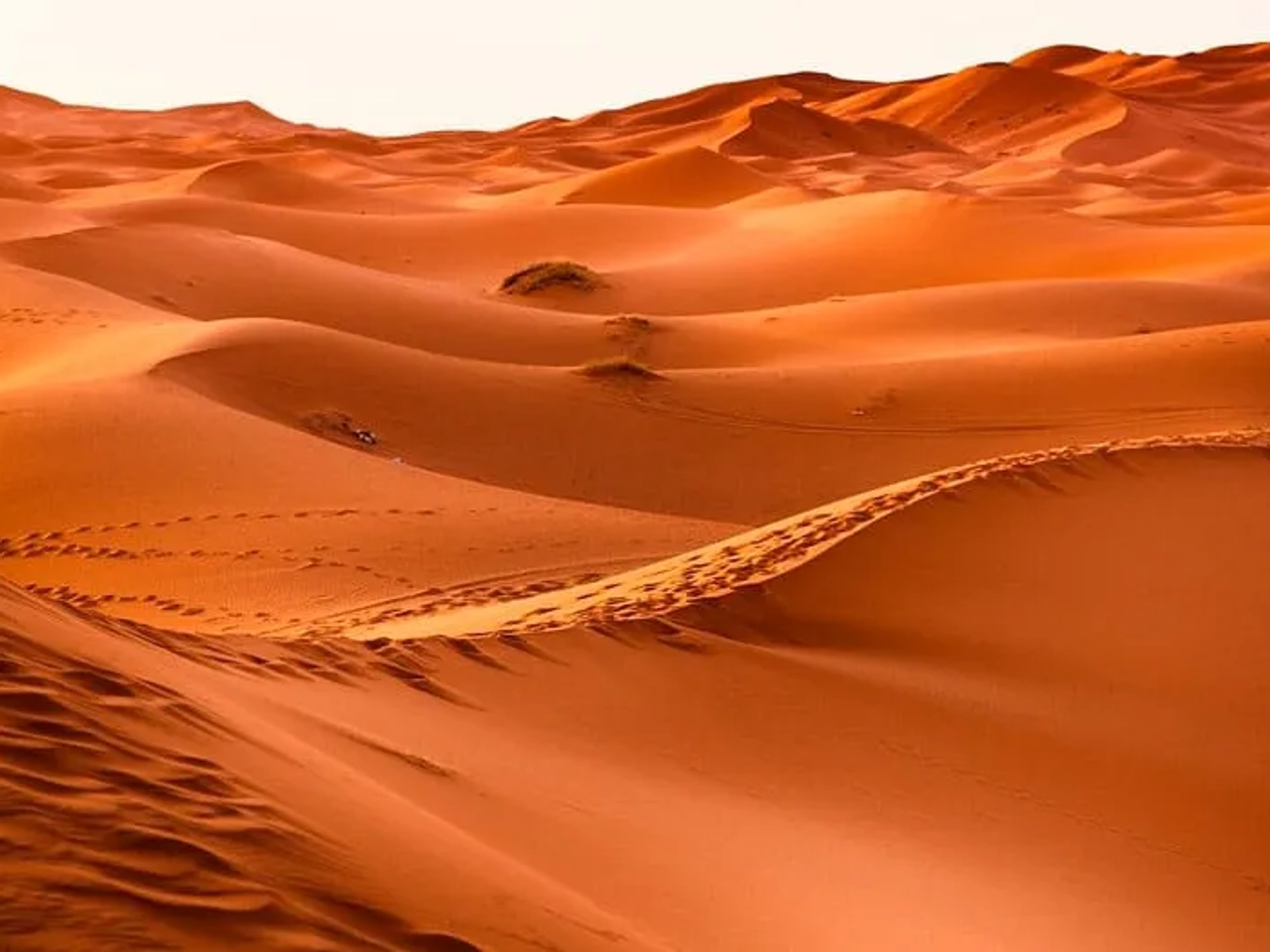 visitar el desierto de Marruecos