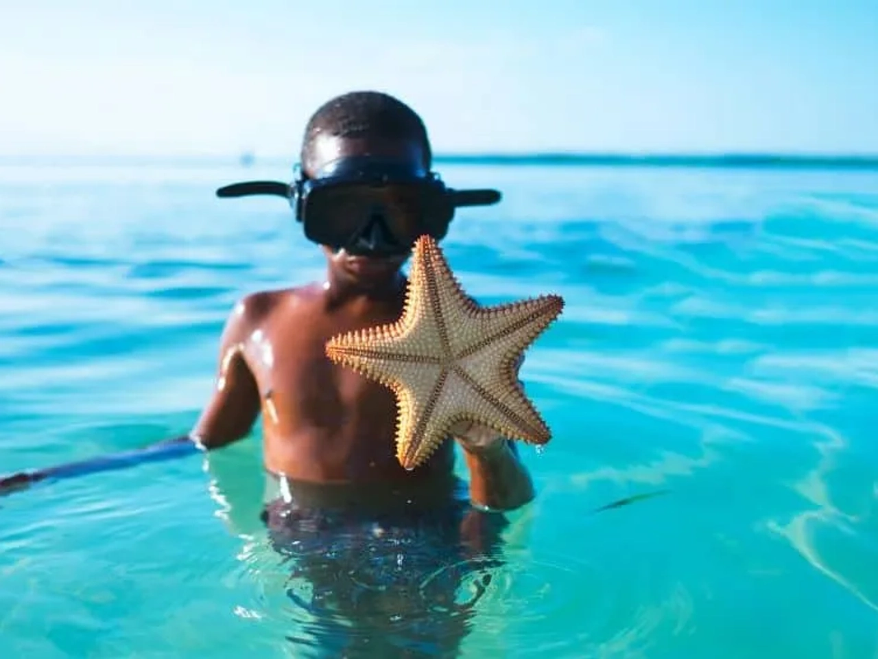 Niño en el agua sosteniendo una estrella de mar, simbolizando el turismo irresponsable.
