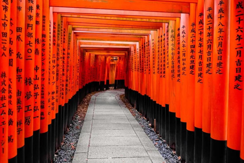 portas torii no templo de fushimi inari