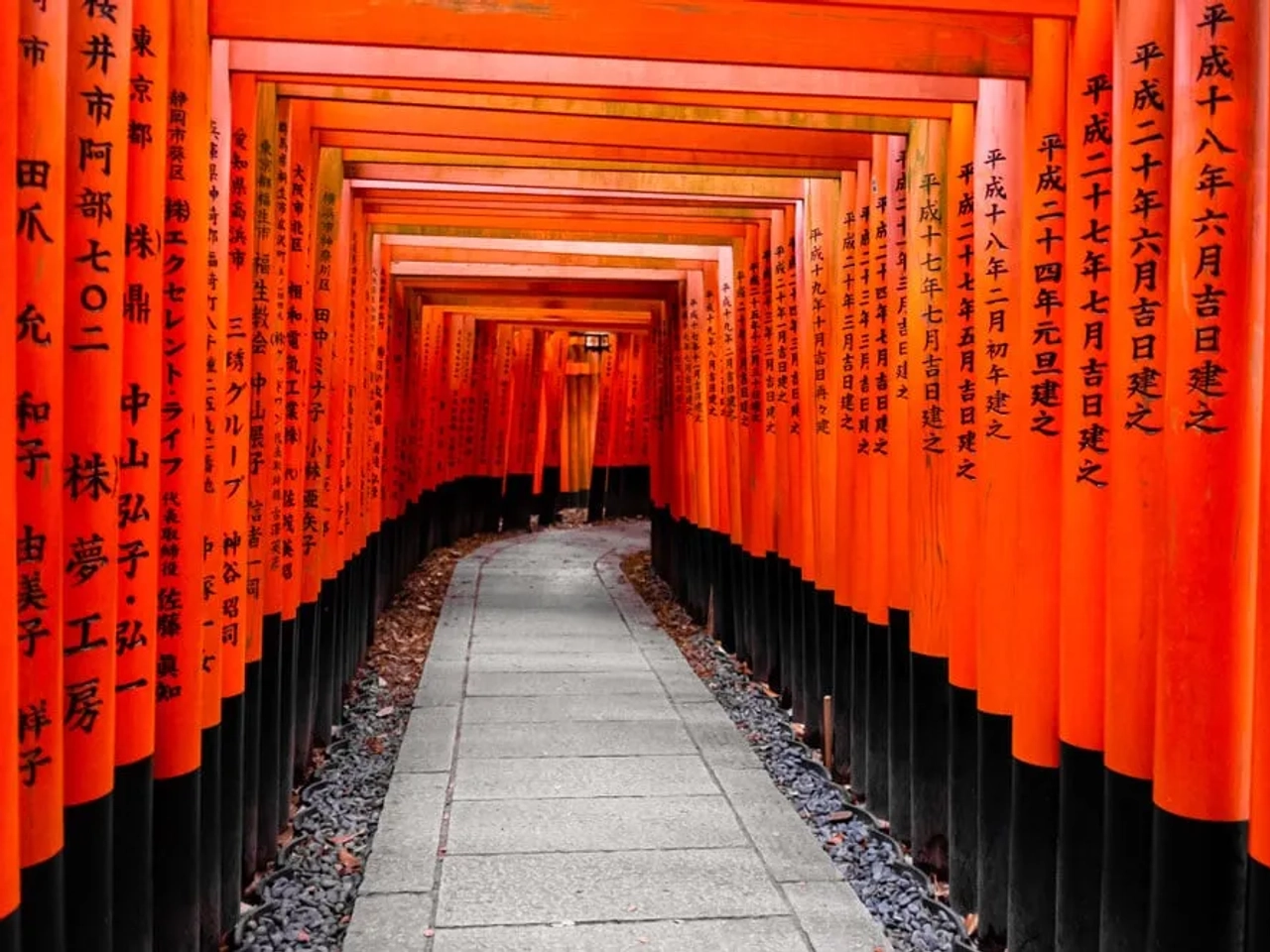portas torii no templo de fushimi inari