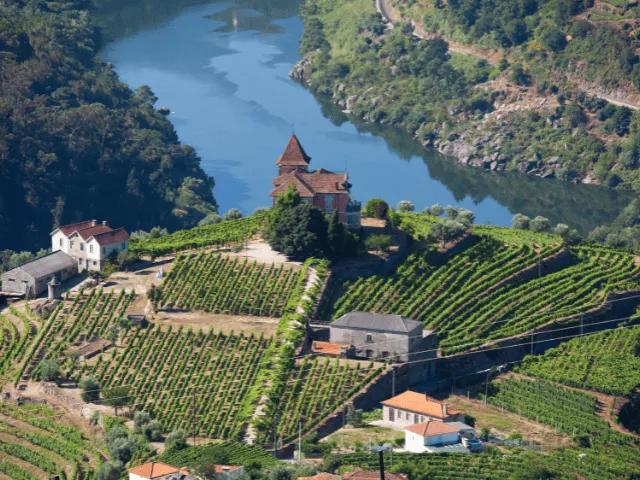 conjunto de montanhas verdes com vindimas e do rio douro com as casas típicas