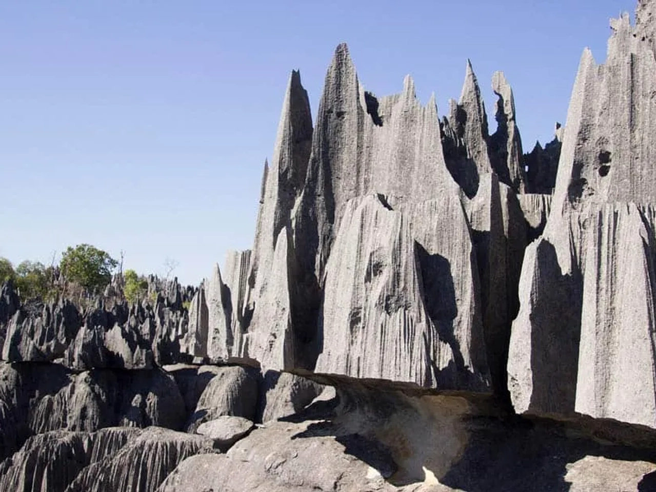Parque nacional Tsingy de Bemaraha y Antsirabe