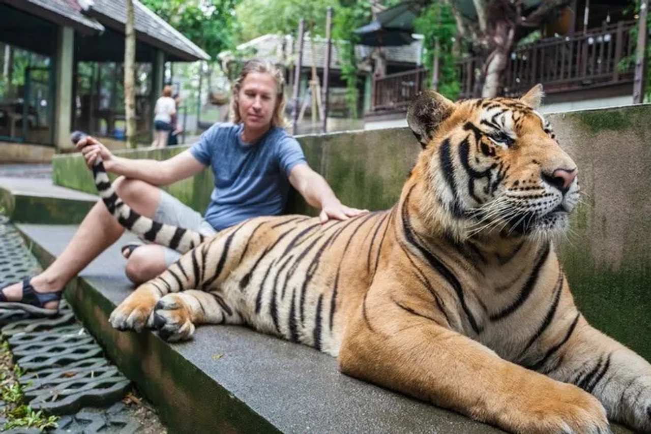 Tiger Temple Tailandia