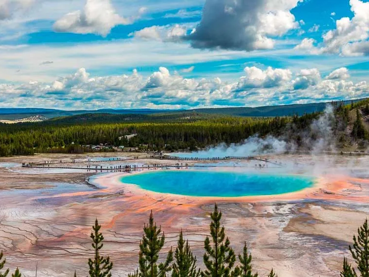 Seguridad en Estados Unidos