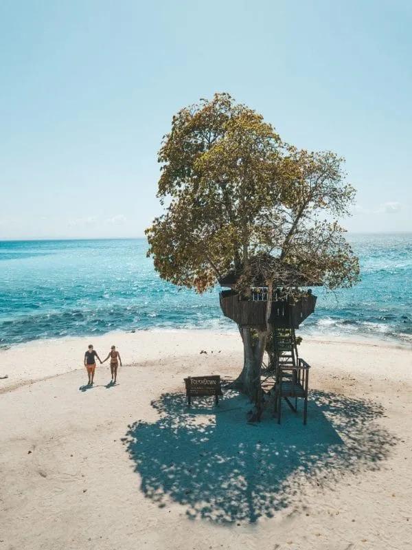 Pareja caminando en la playa junto a un árbol con una casa en su copa.