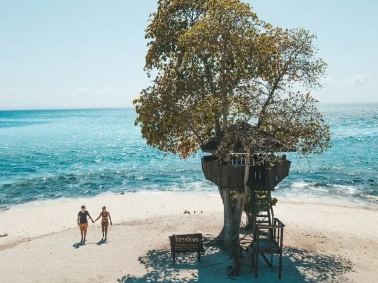Pareja caminando en la playa junto a un árbol con una casa en su copa.