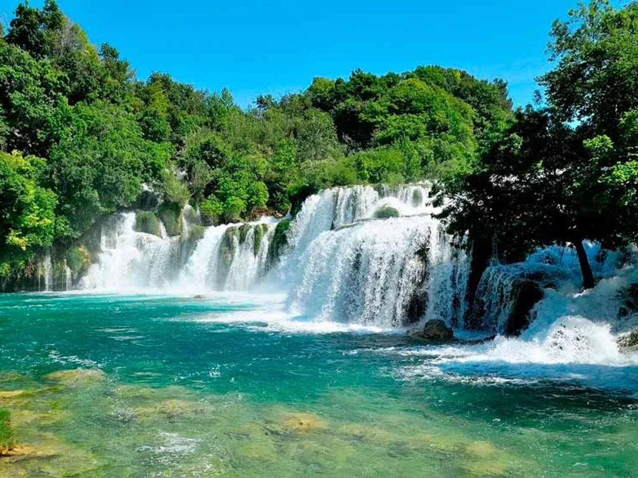 documentos obligatorios y requisitos para el viaje