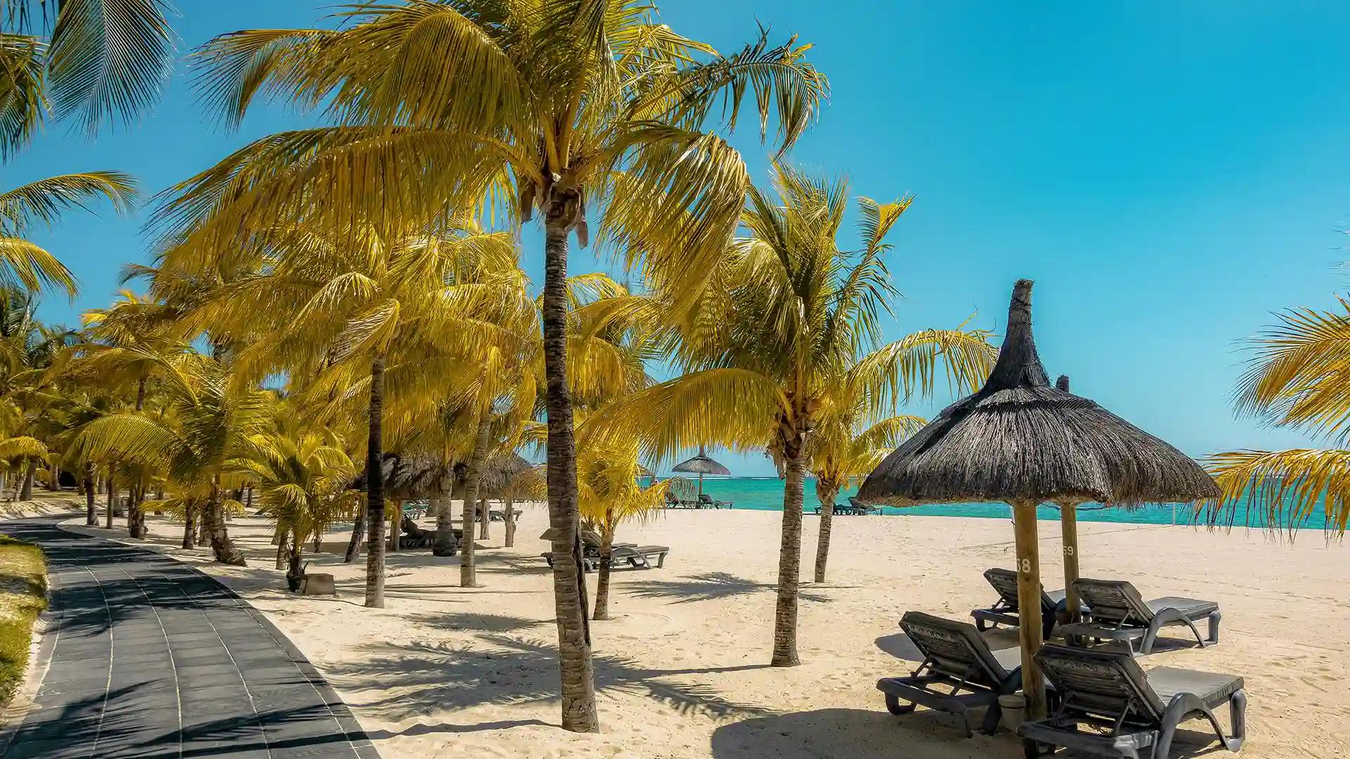 palmeras y hamacas en la playa de flic en flac en mauricio
