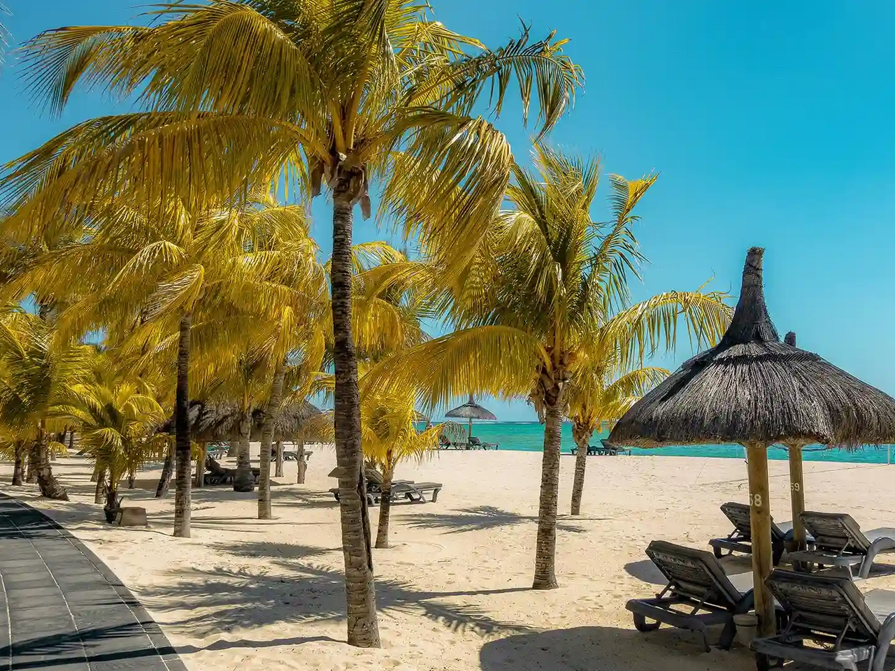 palmeras y hamacas en la playa de flic en flac en mauricio