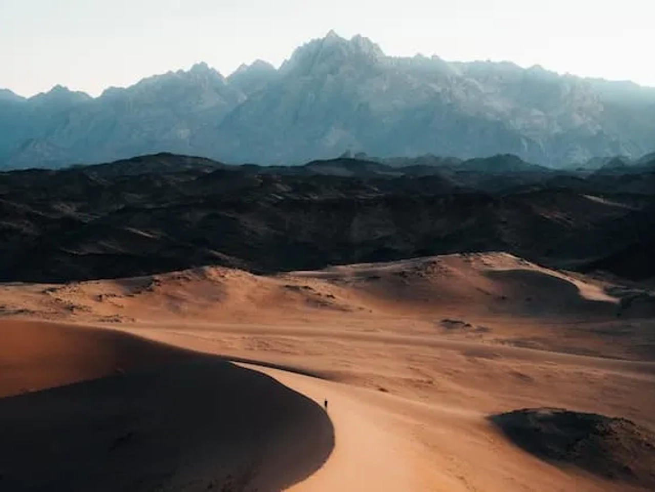 homem em cima de uma duna na Reserva Natural NEOM, Saudi Arabia