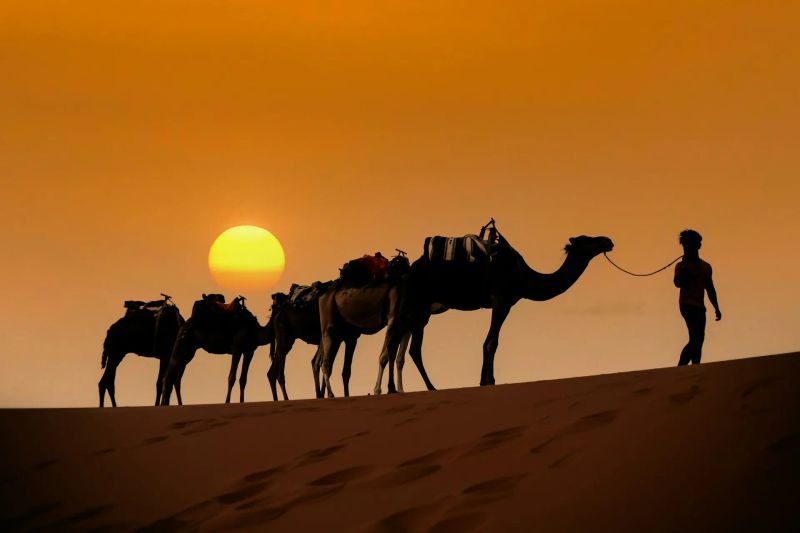 Itinerario di 7 giorni in Marocco: percorso completo tra Marrakech, deserto e città imperiali
