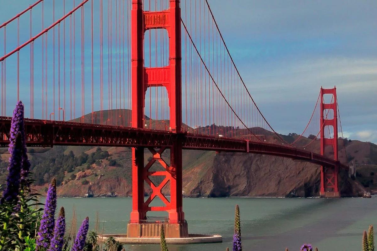 Cuándo abrirán la frontera de Estados Unidos