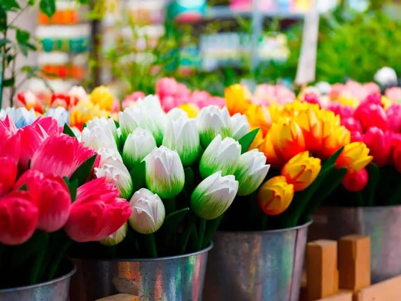 viajar seguro a Ámsterdam