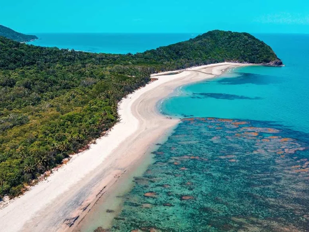 Daintree Rainforest, un impresionante parque nacional que ver en Australia