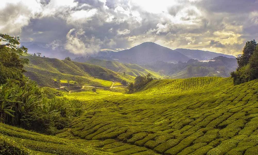 Es seguro un viaje a Malasia