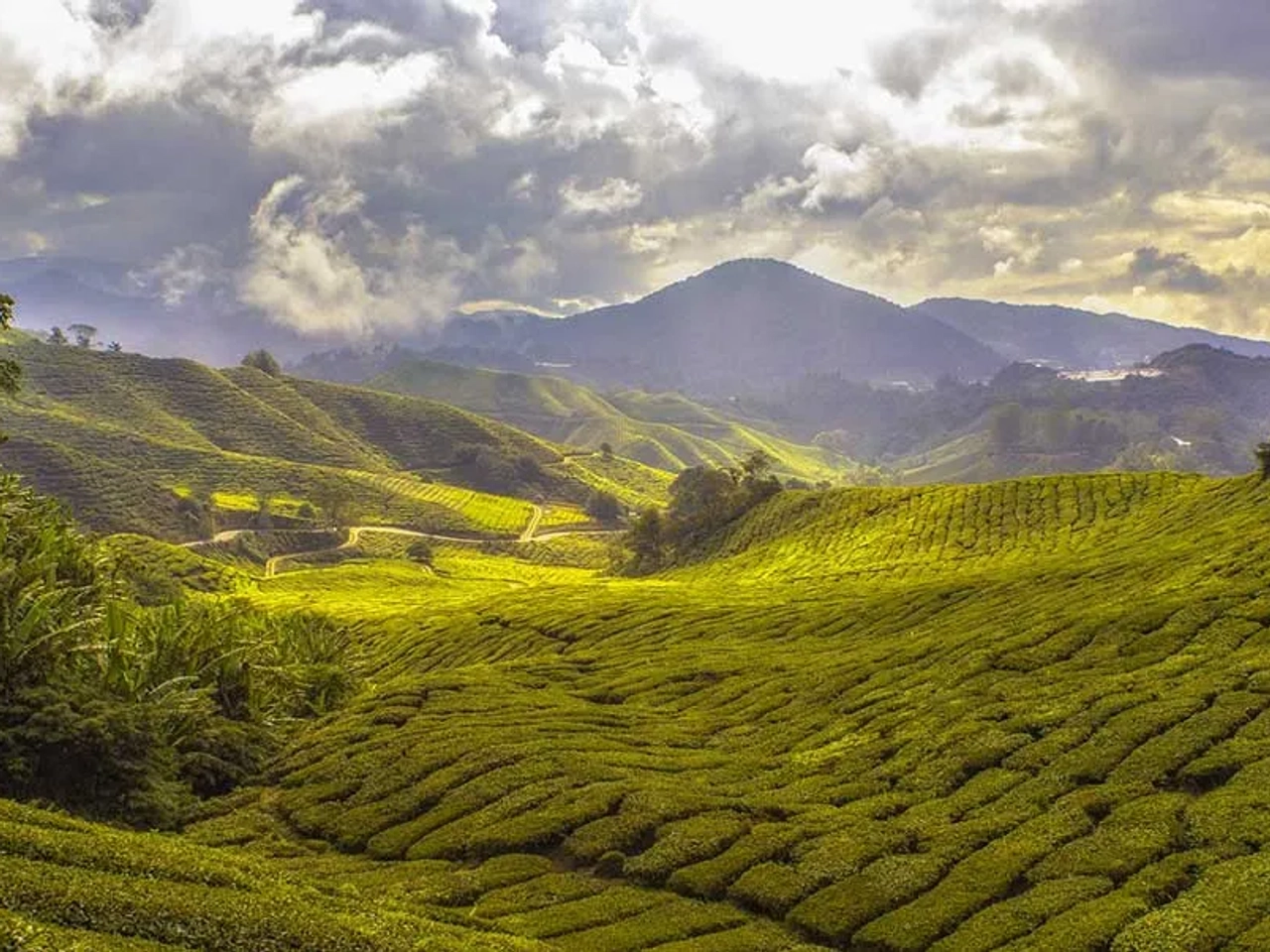 Es seguro un viaje a Malasia