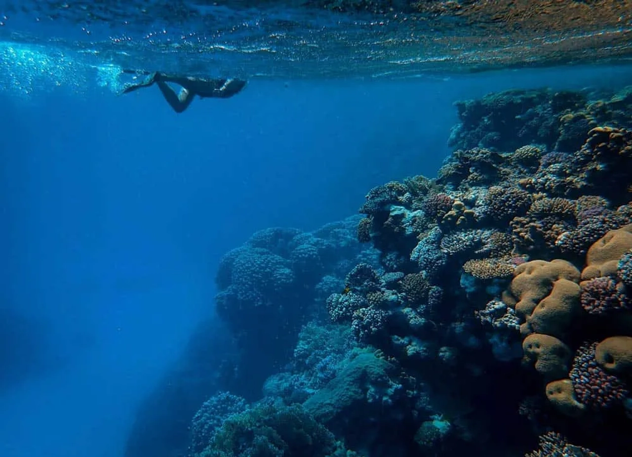 snorkel en el Mar Rojo