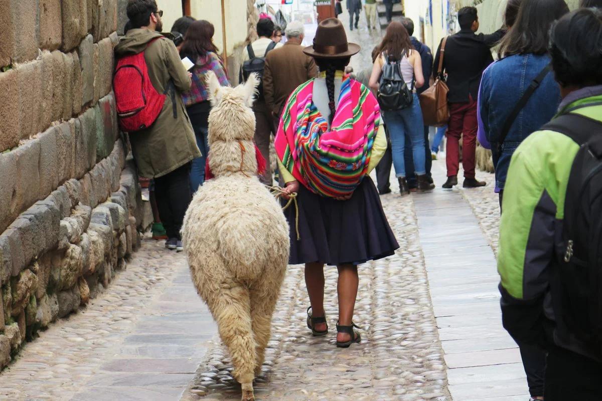 Es válido en Colombia el carnet de vacunación MINSA peruano