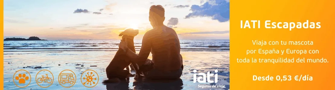 seguro para perros, gatos y otras mascotas