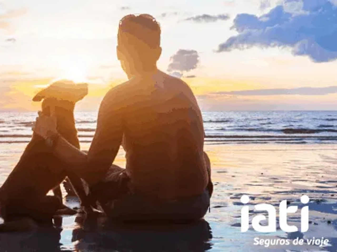 seguro para perros, gatos y otras mascotas