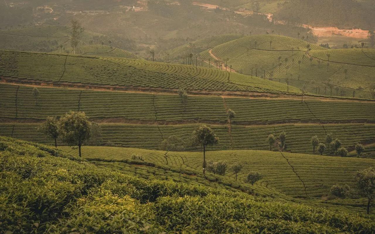 montes de trivandrum na india