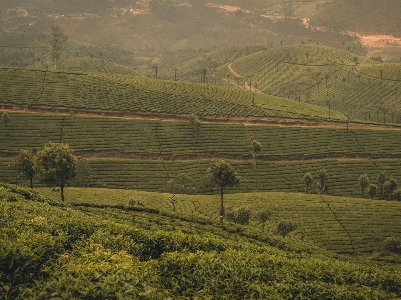 montes de trivandrum na india