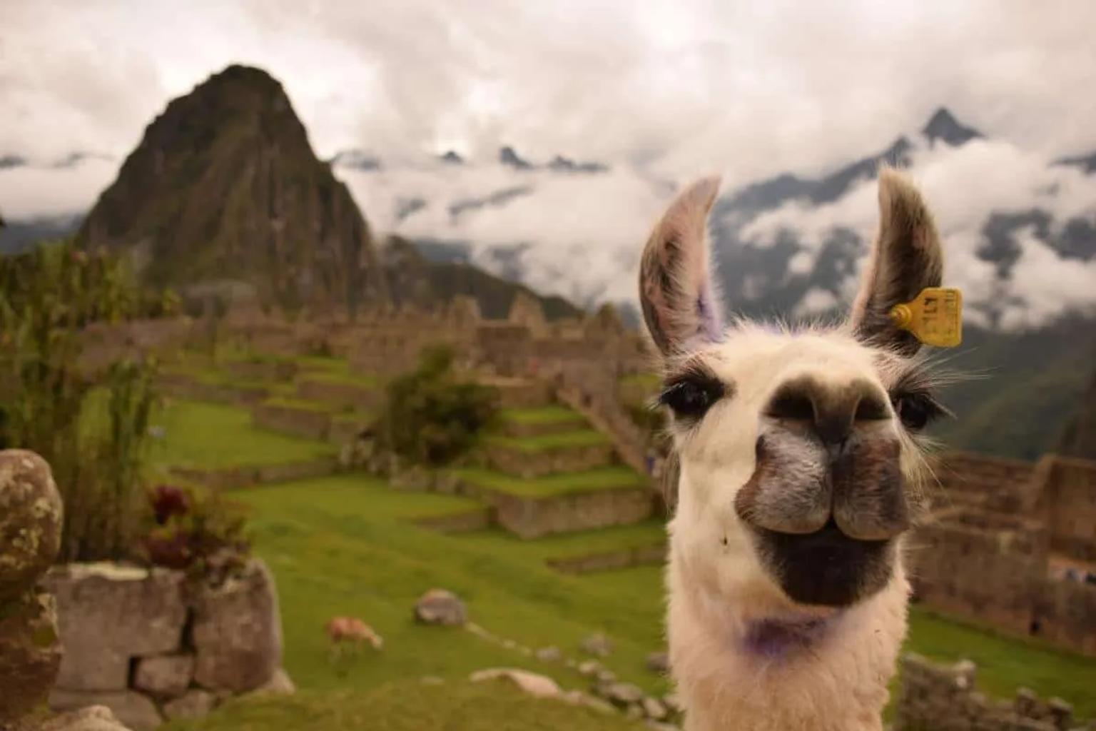 Visitar Machu Picchu