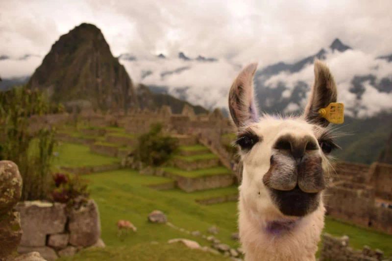 Visitar Machu Picchu por libre