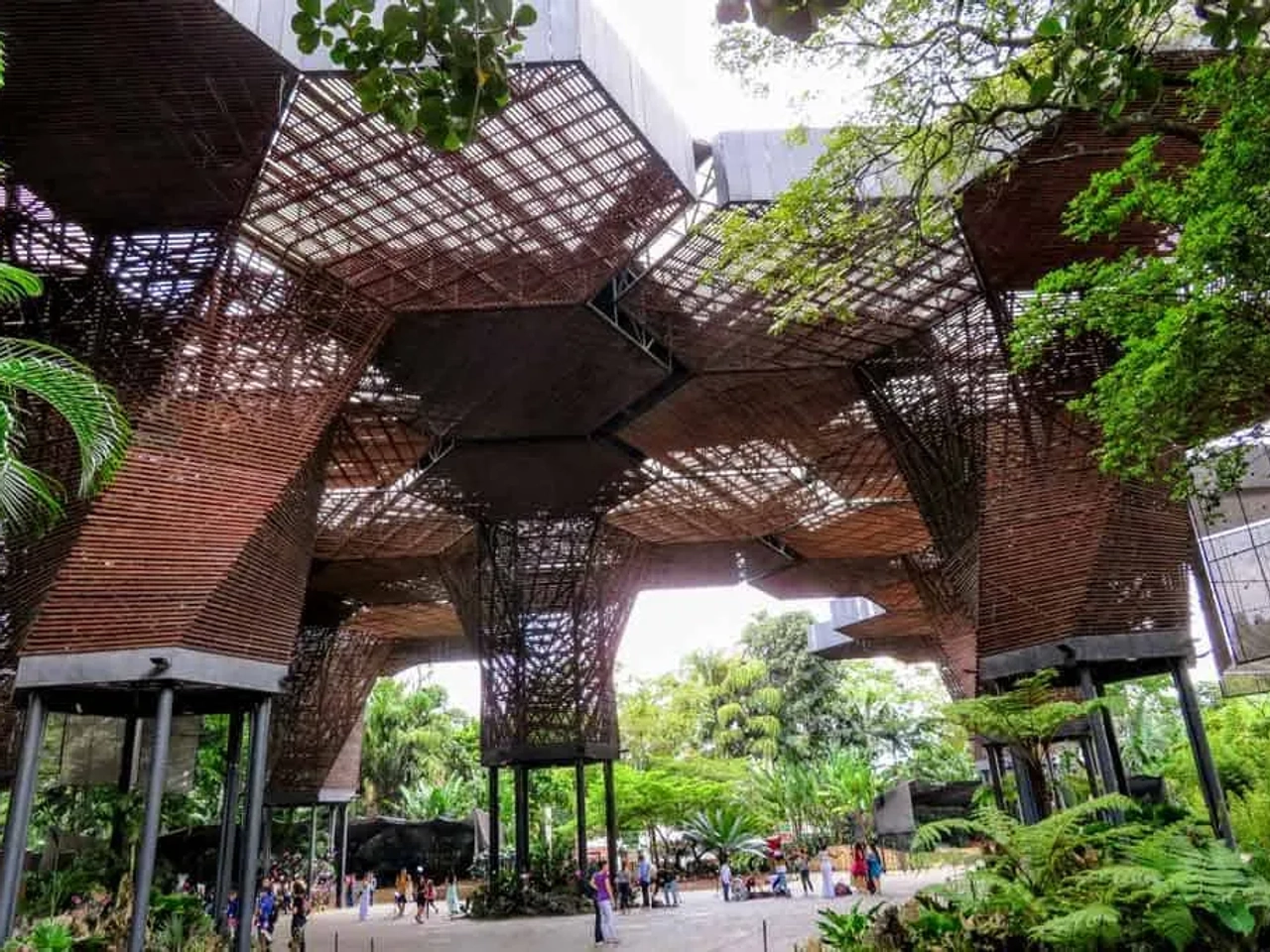 Qué ver y qué hacer en Medellín