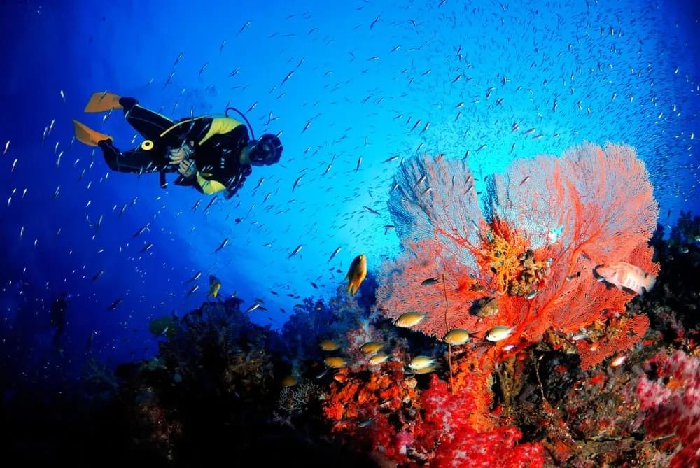 buceo en Tailandia, mejores lugares