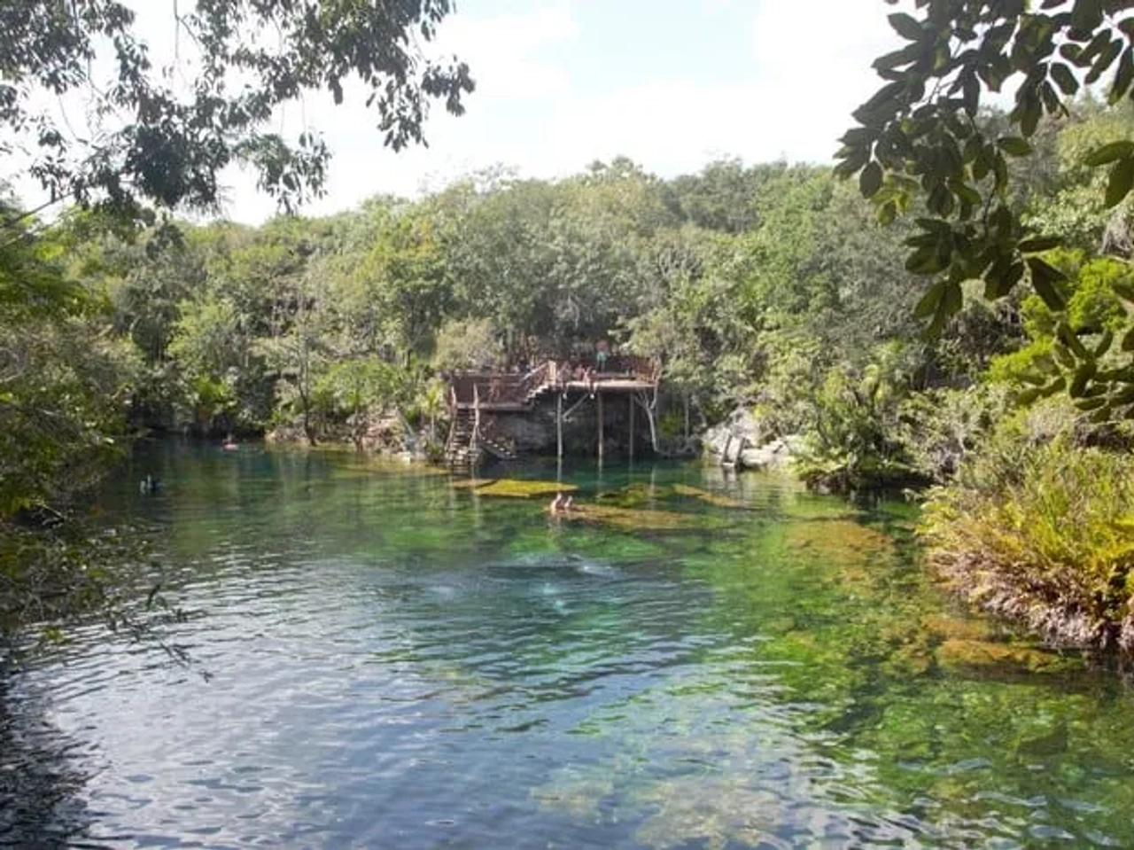 mejores cenotes de riviera maya