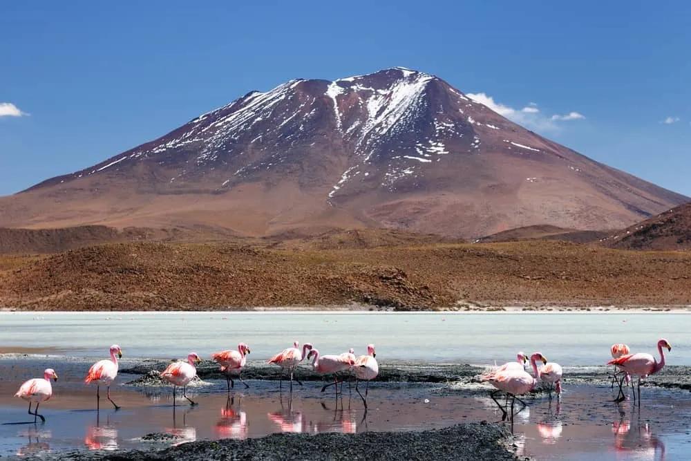 Reserva Nacional de Fauna Andina Eduardo Avaroa, Bolivia