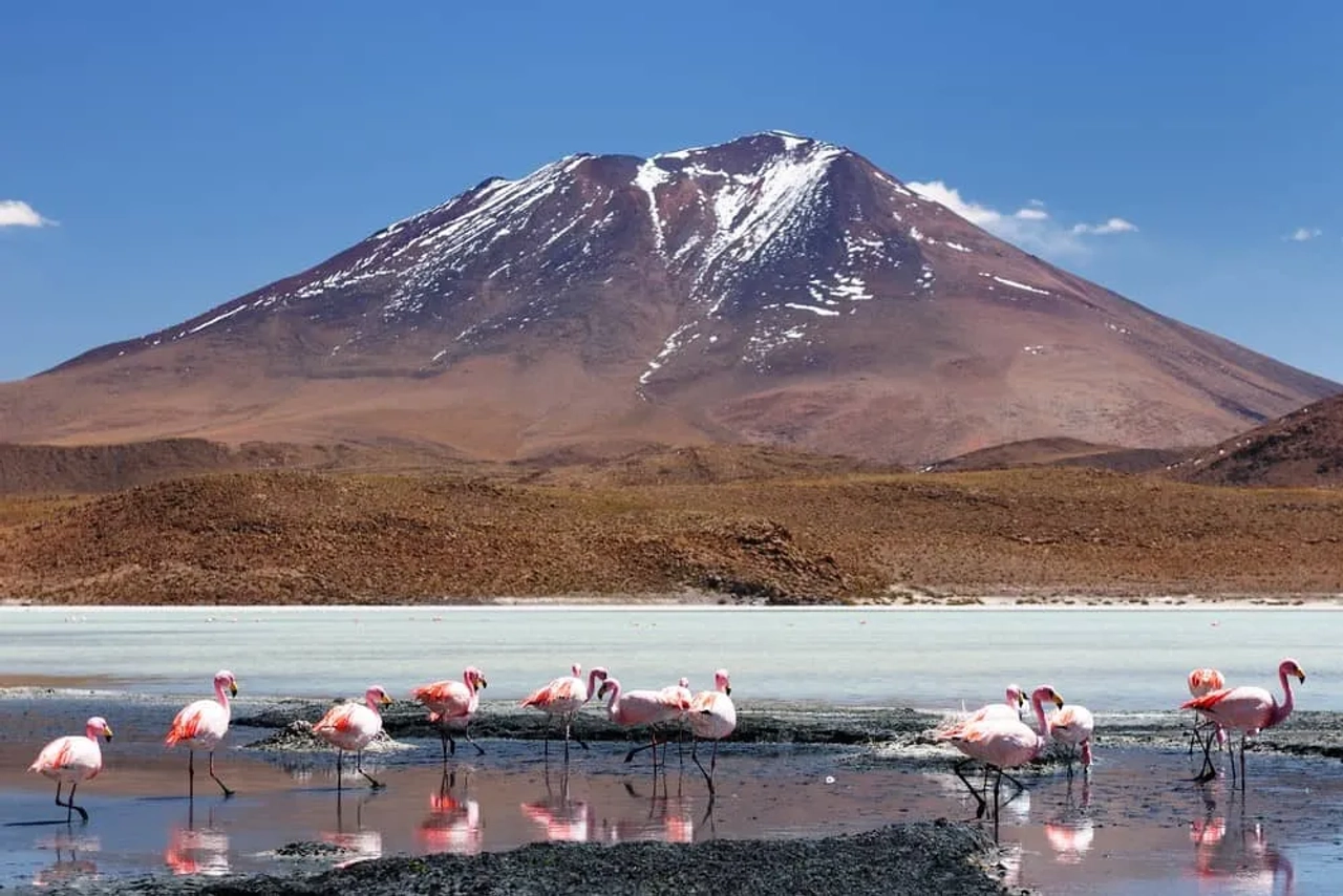 Reserva Nacional de Fauna Andina Eduardo Avaroa, Bolivia