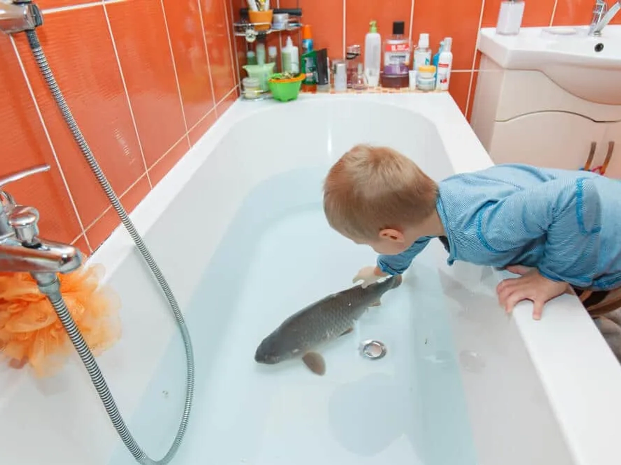 tradição de natal da republica checa