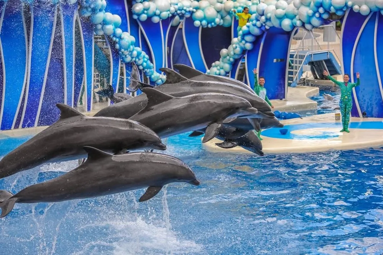 sea-world-orlando