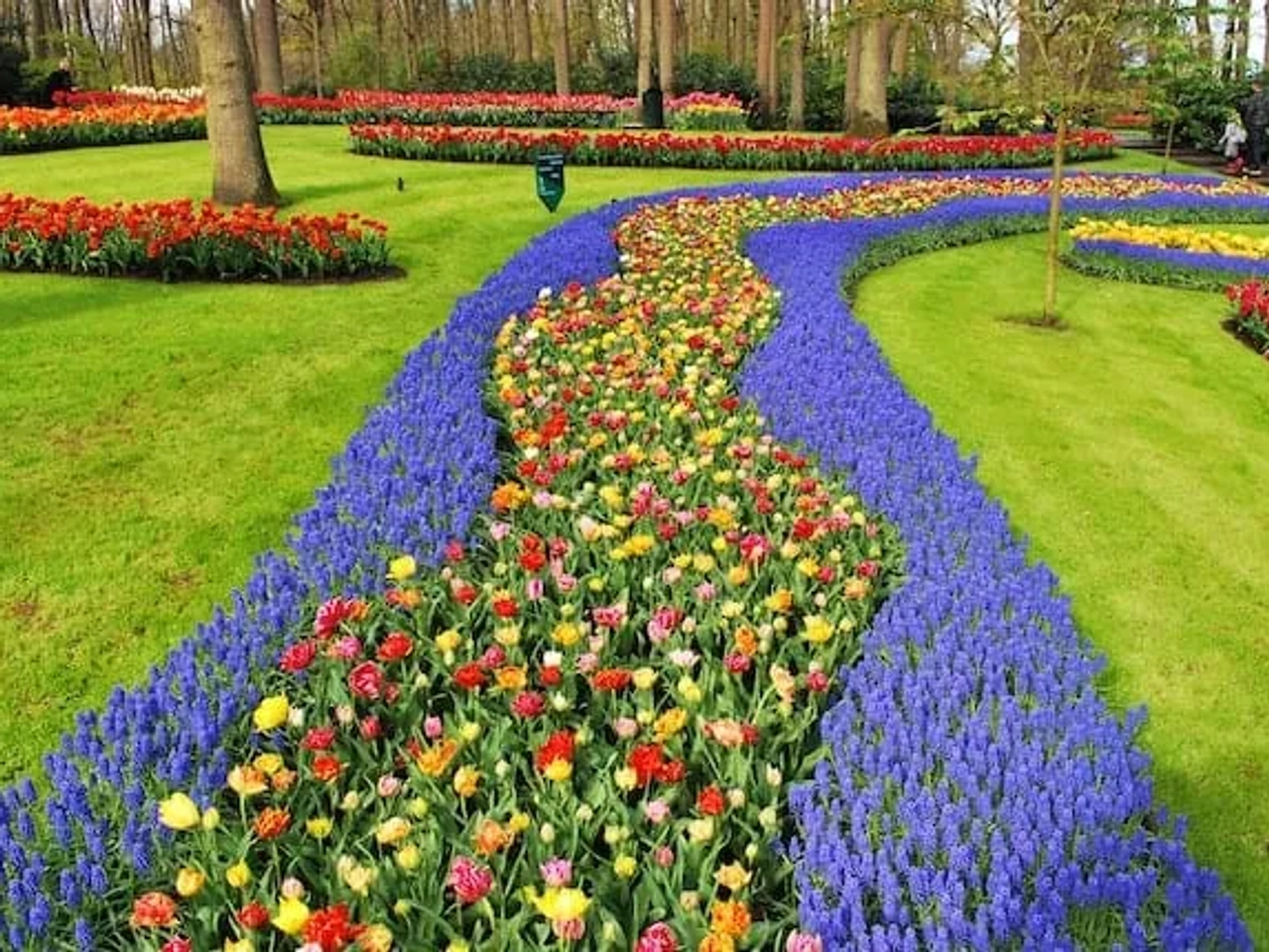 flores num jardim em Keukenhof nos países baixos