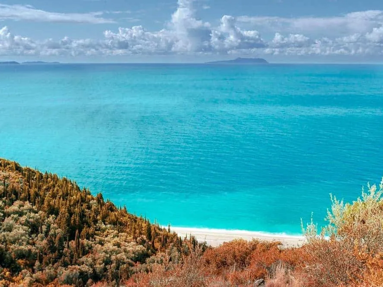 requisitos y documentos obligatorios para el viaje