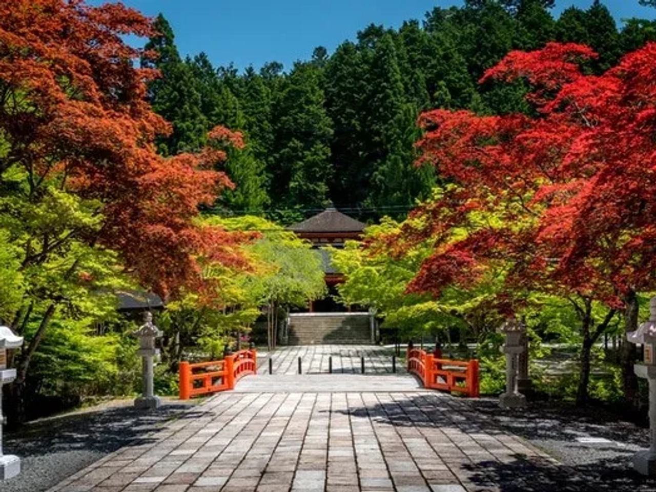 que hacer en Koyasan